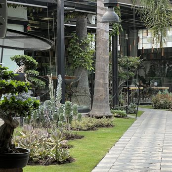 Bruna Restaurante  - Outside garden - Wine Bars Near Me - Guadalajara, JAL
