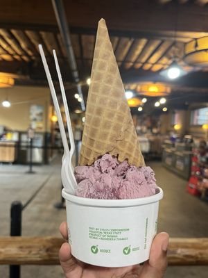 Old Faithful General Store by null