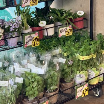 Trader Joe's - Grocery Near Me - Los Altos, California Trader Joe's - Grocery Near Me - Los Altos, California