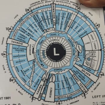 Herbs & More - Iridology - Nutritionists Near Me Herbs & More - Iridology - Nutritionists Near Me
