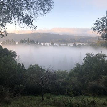 Meadowood Napa Valley - Hiking trail with fog lifting - Hotels Near Me - St. Helena, California