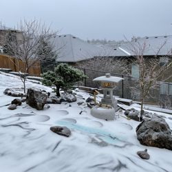 Pacific Stonescape - Backyard with a bigger-sized Kanjuji