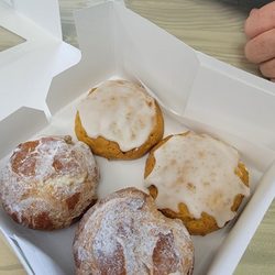 Angelina’s Bakery & Pastry Shop - Cream Puffs and Pumpkin Cookies