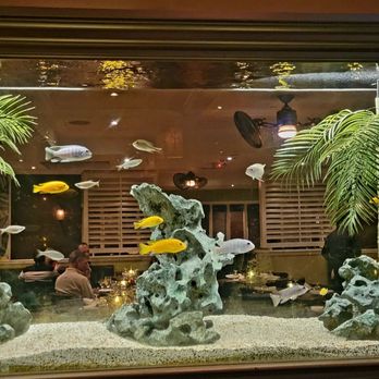 Coco Bistro Kitchen & Lounge - Squeaky clean fish tank - Cuban Near Me - Smithtown, New York
