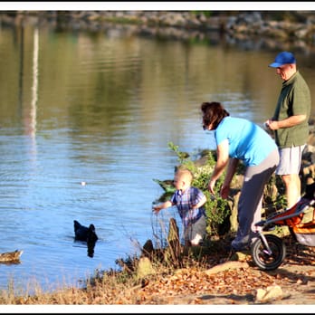 Lake Ella Park - The feeding of the duckies. - Parks Near Me - Tallahassee, Florida Lake Ella Park - The feeding of the duckies. - Parks Near Me - Tallahassee, Florida