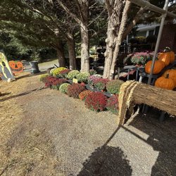 Clark's Farm