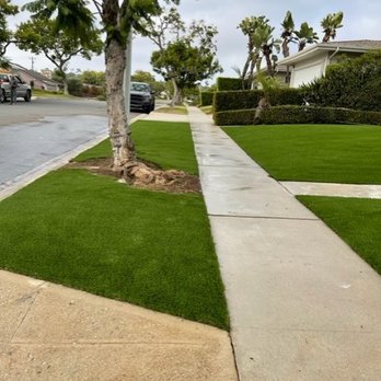 SmartGrass - the contoured front tree looks beautiful - Artificial Turf Near Me - Manhattan Beach, California SmartGrass - the contoured front tree looks beautiful - Artificial Turf Near Me - Manhattan Beach, California