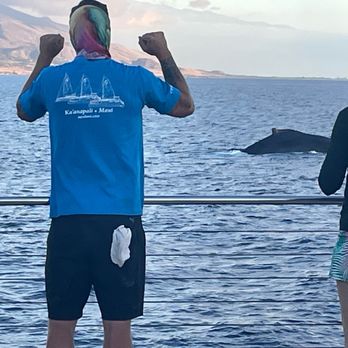 Teralani Sailing Adventures - Whale sighting! Capt Patrick was very diligent and determined to give us a whale of a show! Mission accomplished - Boating Near Me - Lahaina, Hawaii Teralani Sailing Adventures - Whale sighting! Capt Patrick was very diligent and determined to give us a whale of a show! Mission accomplished - Boating Near Me - Lahaina, Hawaii