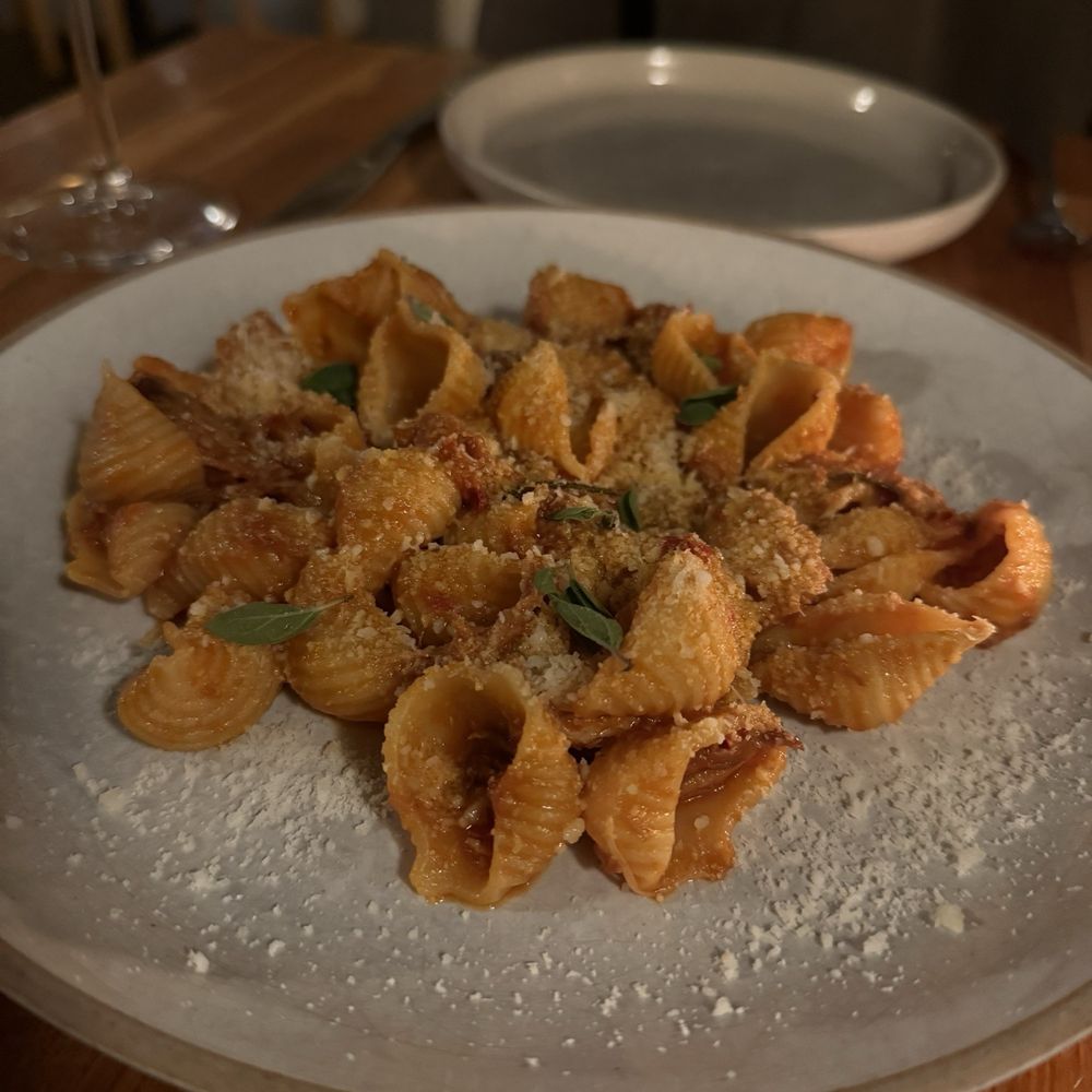 Leeward - Conchiglie (with pork ragu and Calabrian chile) - Italian Near Me - Portland, Maine