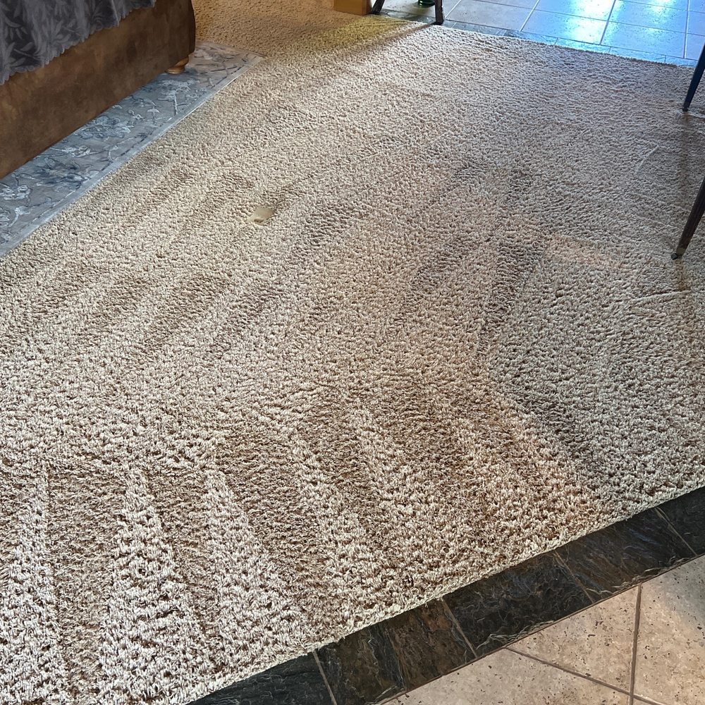 Rough House Carpet Cleaning - Carpet cleaning - Home Cleaning Near Me Rough House Carpet Cleaning - Carpet cleaning - Home Cleaning Near Me