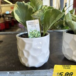 Grocery Outlet