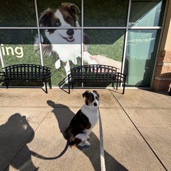 Petco - Pet Training Near Me - Ranson, West Virginia