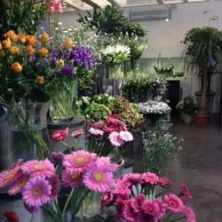 Ortos Fleurs