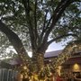 Photo of DunnEnzies Pizza Co