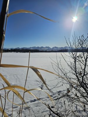 Westchester Lagoon by null