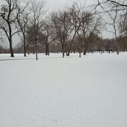 Chicago Park District - Riis Park