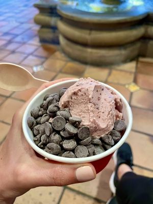 Frozen Fruit Co by null