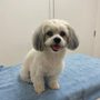 Photo of Animal Hospital of Watsonville