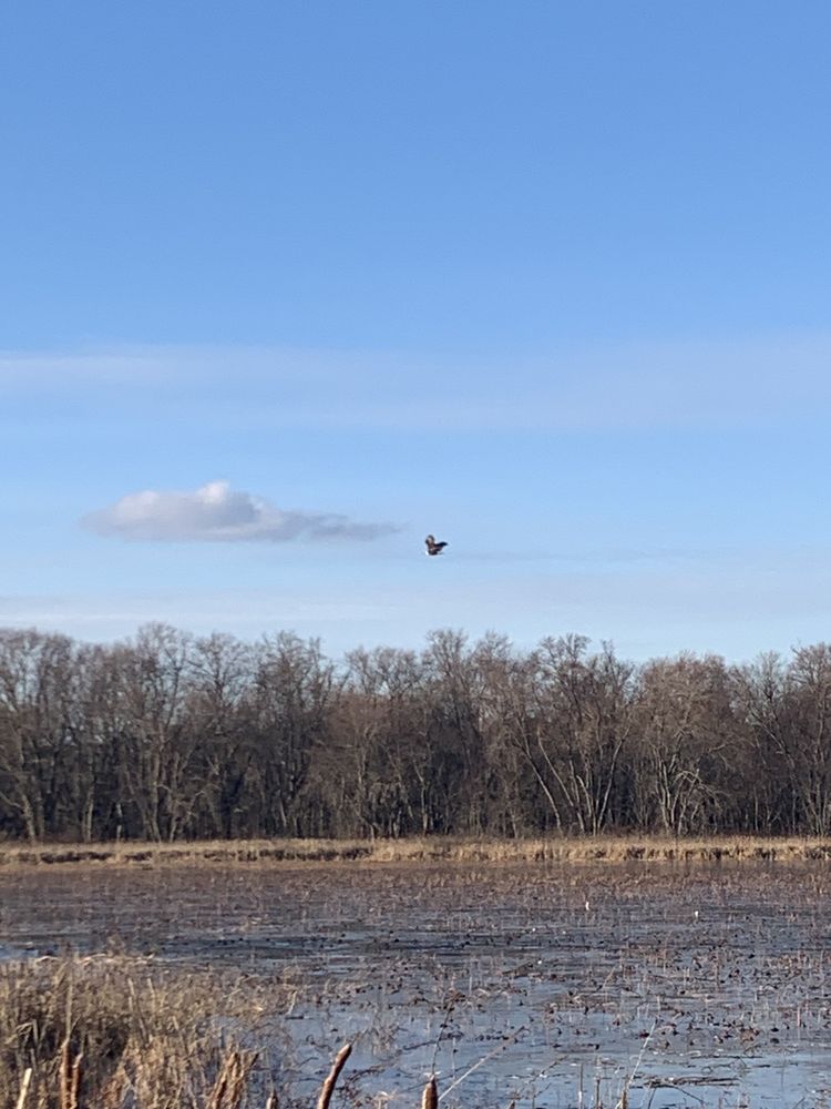 GREAT MEADOWS NATIONAL WILDLIFE REFUGE Updated May 2024 41 Photos