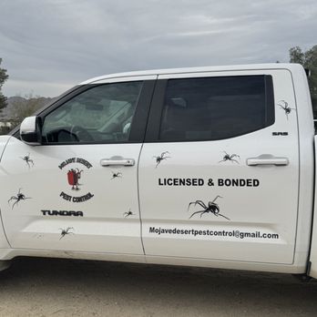 Mojave Desert Pest Control - So glad I found them. They do great work. - Pest Control Near Me Mojave Desert Pest Control - So glad I found them. They do great work. - Pest Control Near Me