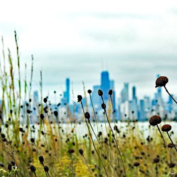 Care Endodontics - Located in Lincoln Park; Cental to all Chicago neighborhoods - Endodontists Near Me - Chicago, Illinois