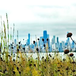 Care Endodontics - Located in Lincoln Park; Cental to all Chicago neighborhoods