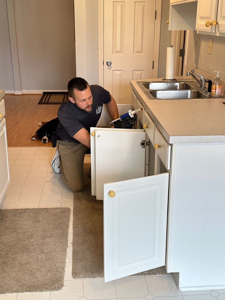 BERNER PEST SOLUTIONS LexingtonFayette, Kentucky Pest Control Phone Number Yelp