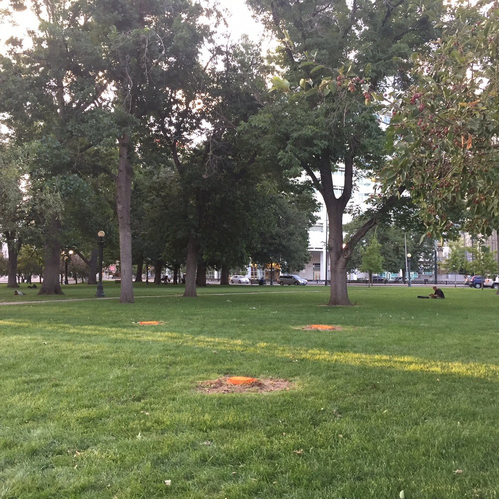Civic Center Park - Looking north in park - Parks Near Me - Denver, Colorado