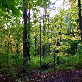 Corbett's Glen Nature Park - Hiking Near Me - Rochester, New York