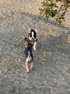 Central Park by null