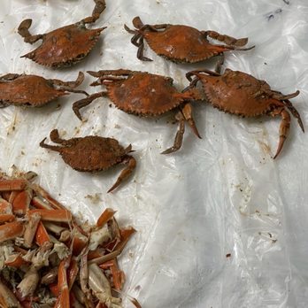 Carino's Seafood - Blue shell crabs - Seafood Near Me - Williamsburg, Virginia Carino's Seafood - Blue shell crabs - Seafood Near Me - Williamsburg, Virginia