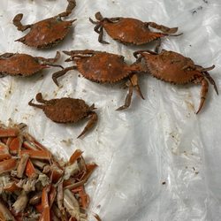 Carino's Seafood - Blue shell crabs