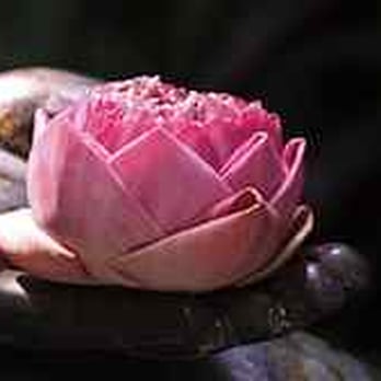 Banyan Tree Massage Therapy - Therapeutic Specialist - Massage Therapy Near Me - San Luis Obispo, California Banyan Tree Massage Therapy - Therapeutic Specialist - Massage Therapy Near Me - San Luis Obispo, California