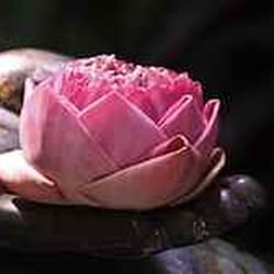 Banyan Tree Massage Therapy - Therapeutic Specialist