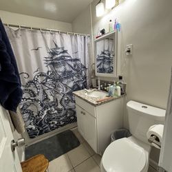 Sterile Lives Cleaning - Lean bathroom