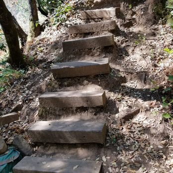 Stebbins Cold Canyon Loop Trail - Stair master - Hiking Near Me - Winters, California