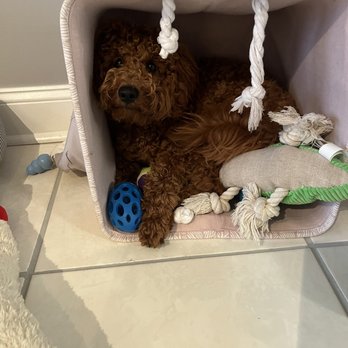 Nova Animal Hospital - Veterinarians Near Me - Davie, Florida