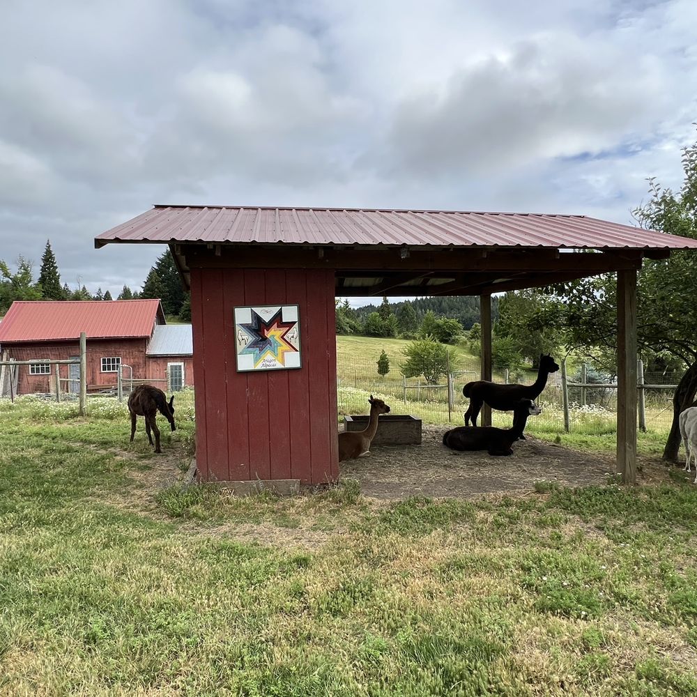 Aragon Alpacas - Pet Services Near Me - Eugene, Oregon