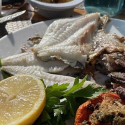 La Poissonnerie Laurent - St Pierre / John Dory fish