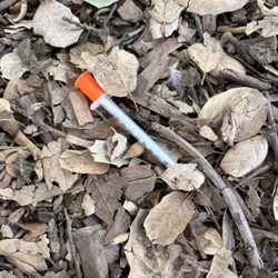 Needle on park's grounds.