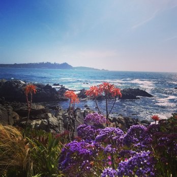 Draper Cleaning Services - Carmel by the sea specialized - Home Cleaning Near Me - Carmel, California Draper Cleaning Services - Carmel by the sea specialized - Home Cleaning Near Me - Carmel, California