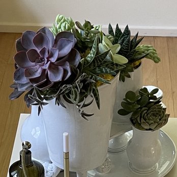 Plant Style - Astier de Villatte - Nurseries & Gardening Near Me - Dallas, Texas Plant Style - Astier de Villatte - Nurseries & Gardening Near Me - Dallas, Texas