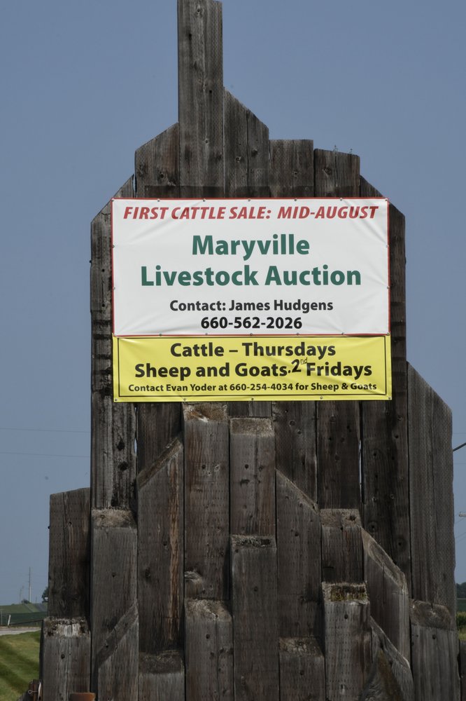 MARYVILLE LIVESTOCK AUCTION Updated September 2024 22783 US Hwy 71
