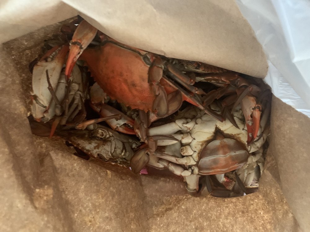 TRUONG NGUYEN GULF FRESH SEAFOOD Updated September 2024 16 Photos