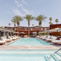 Palm Canyon Swim & Social - Palm Canyon Swim & Social