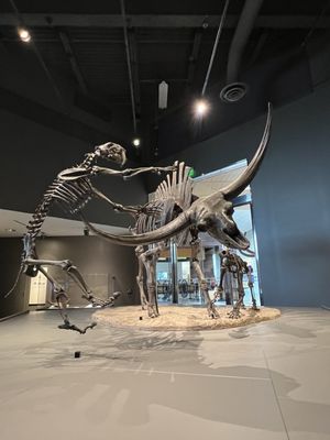 North Dakota Heritage Center & State Museum by null