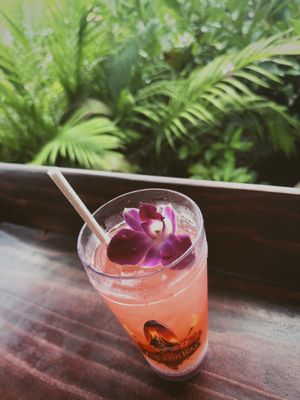 Universal Volcano Bay by null