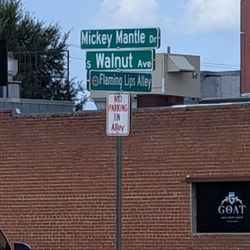 Flaming Lips Alley