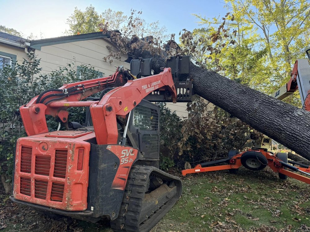 Curb Appeal - tree service in Spartanburg, SC