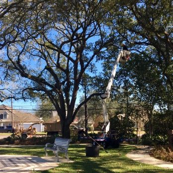 Bayou Tree Service - Tree Services Near Me - New Orleans, Louisiana Bayou Tree Service - Tree Services Near Me - New Orleans, Louisiana